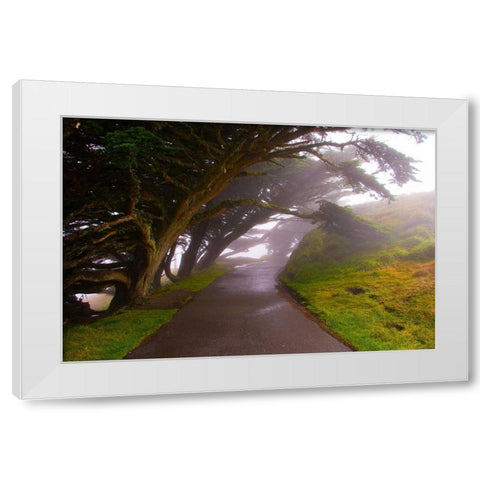 Foggy Path White Modern Wood Framed Art Print by Johnson, George