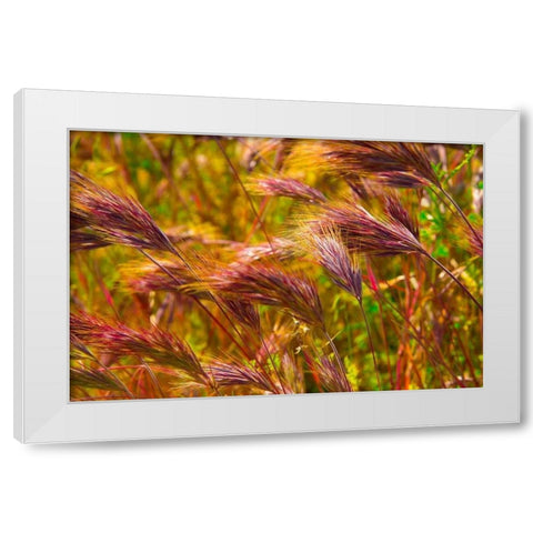 Colorful Brush White Modern Wood Framed Art Print by Johnson, George