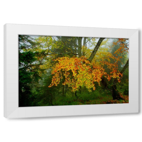 Schloss Hohenschwangau I White Modern Wood Framed Art Print by Johnson, George