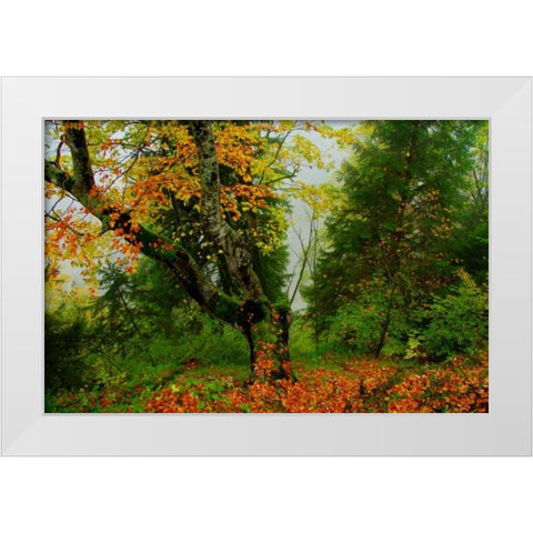 Schloss Hohenschwangau II White Modern Wood Framed Art Print by Johnson, George