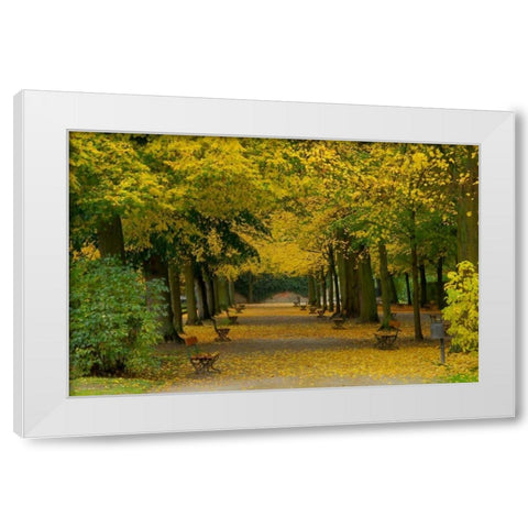Wurzburg I White Modern Wood Framed Art Print by Johnson, George