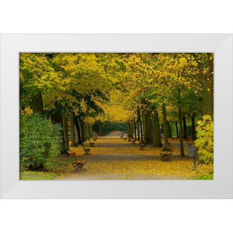 Wurzburg I White Modern Wood Framed Art Print by Johnson, George