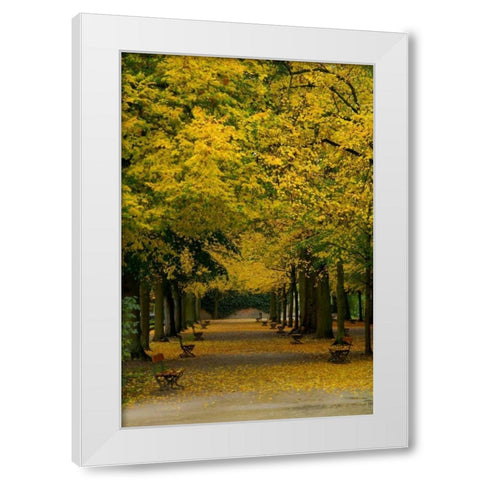 Wurzburg III White Modern Wood Framed Art Print by Johnson, George