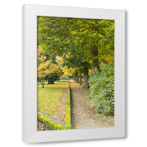 Wurzburg V White Modern Wood Framed Art Print by Johnson, George