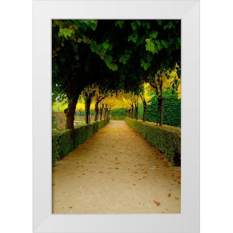 Wurzburg VI White Modern Wood Framed Art Print by Johnson, George