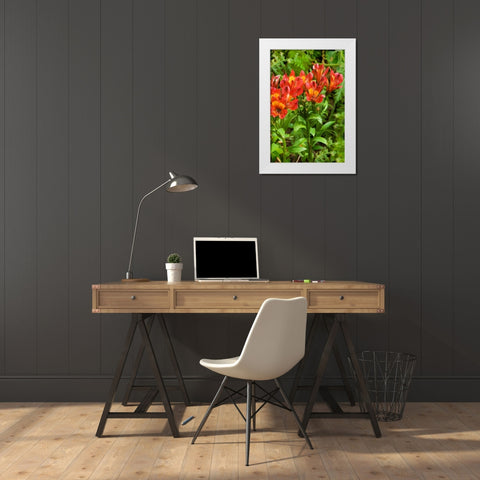 Red and Yellow Flowers White Modern Wood Framed Art Print by Johnson, George