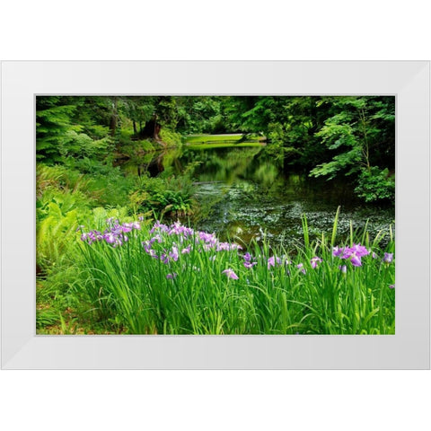 Bloedel Reserve I White Modern Wood Framed Art Print by Johnson, George