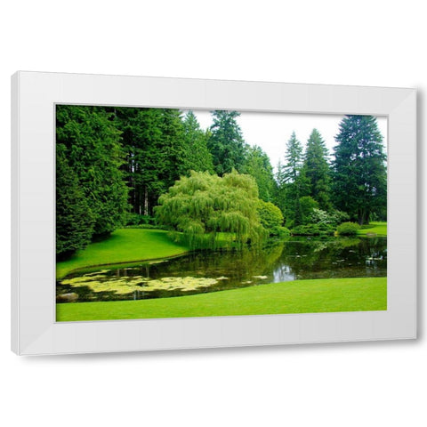 Bloedel Reserve II White Modern Wood Framed Art Print by Johnson, George