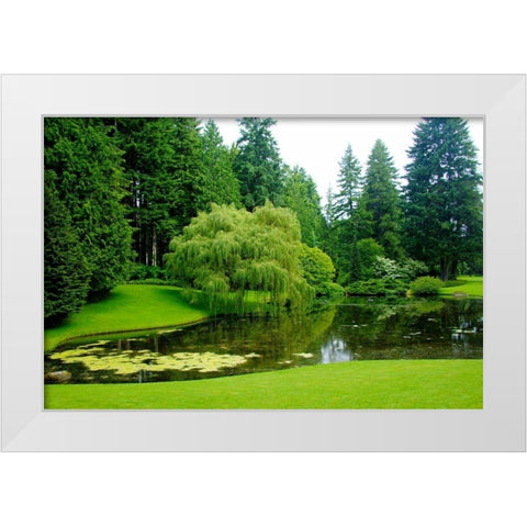 Bloedel Reserve II White Modern Wood Framed Art Print by Johnson, George