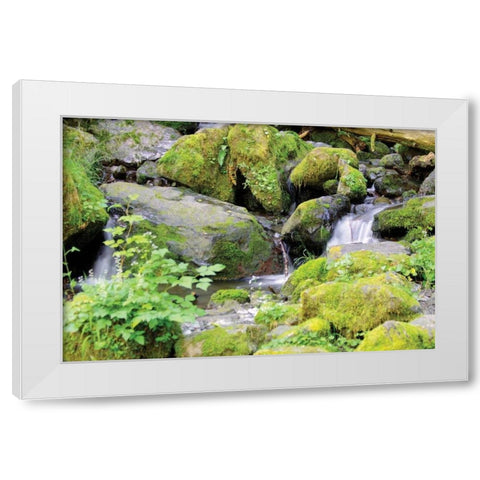 Lake Quinalt small falls White Modern Wood Framed Art Print by Johnson, George