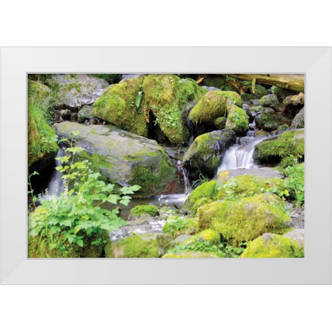 Lake Quinalt small falls White Modern Wood Framed Art Print by Johnson, George