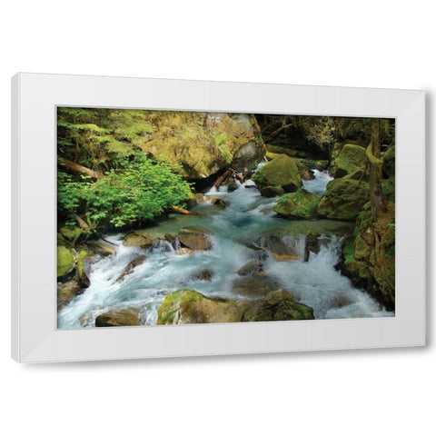 North Cascades NP I White Modern Wood Framed Art Print by Johnson, George