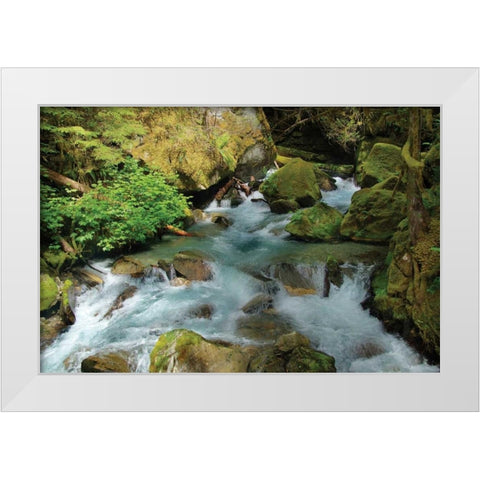 North Cascades NP I White Modern Wood Framed Art Print by Johnson, George