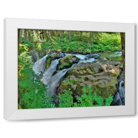 Port Angeles Falls I White Modern Wood Framed Art Print by Johnson, George