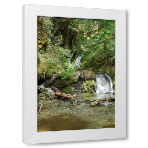 North Cascades NP II White Modern Wood Framed Art Print by Johnson, George