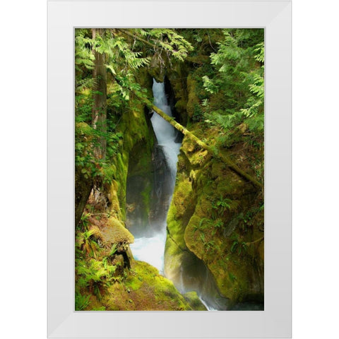 North Cascades NP III White Modern Wood Framed Art Print by Johnson, George