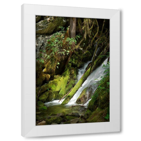 North Cascades NP IV White Modern Wood Framed Art Print by Johnson, George