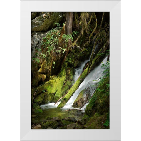 North Cascades NP IV White Modern Wood Framed Art Print by Johnson, George