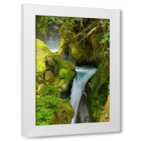 North Cascades NP V White Modern Wood Framed Art Print by Johnson, George