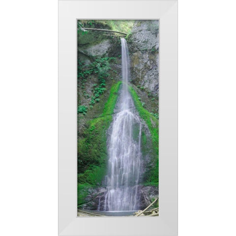 Port Angeles Falls White Modern Wood Framed Art Print by Johnson, George