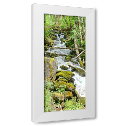 North Cascades NP VI White Modern Wood Framed Art Print by Johnson, George