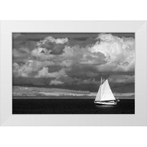 Port Townsend Sailboat II White Modern Wood Framed Art Print by Johnson, George