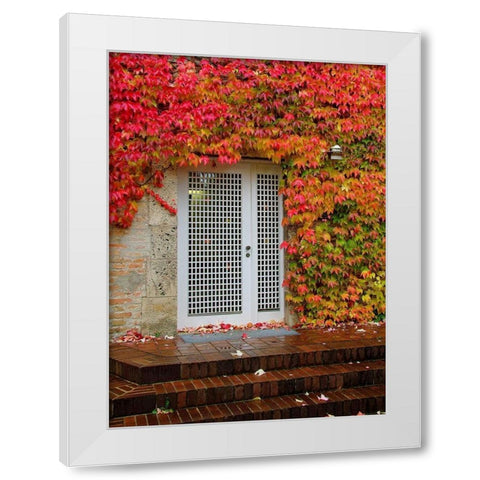 Augustine Door and Ivy White Modern Wood Framed Art Print by Johnson, George