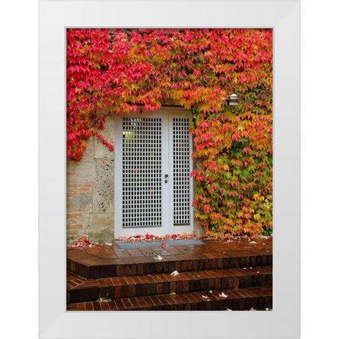 Augustine Door and Ivy White Modern Wood Framed Art Print by Johnson, George