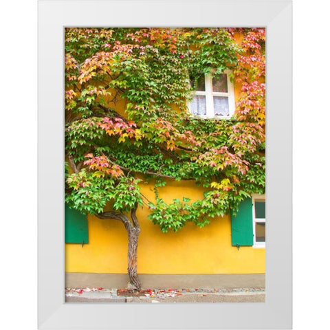 Augsburg Tree and Windows White Modern Wood Framed Art Print by Johnson, George
