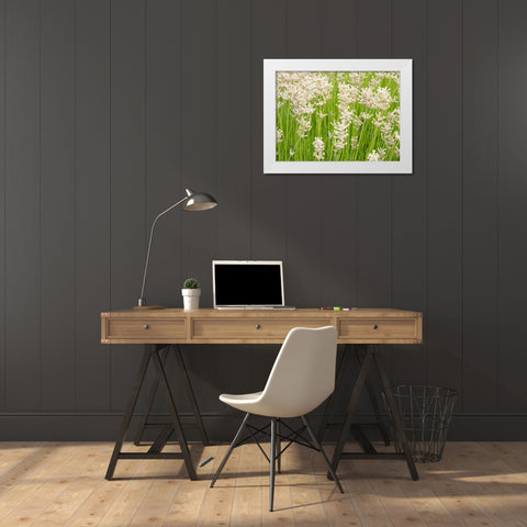 White on Green Field White Modern Wood Framed Art Print by Johnson, George