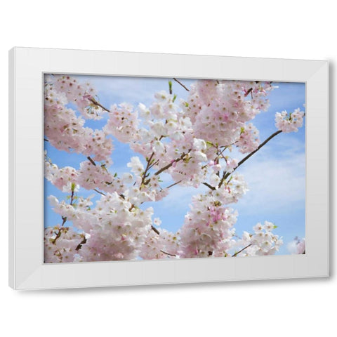 Spring Blossoms White Modern Wood Framed Art Print by Johnson, George