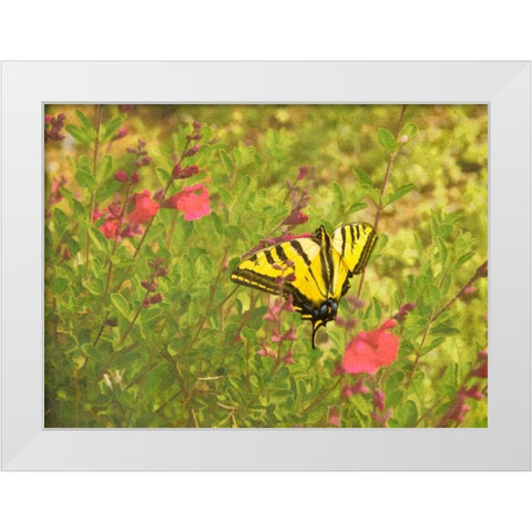 Butterfly and Flowers White Modern Wood Framed Art Print by Johnson, George