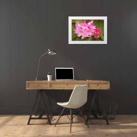 Rhododendron I White Modern Wood Framed Art Print by Johnson, George