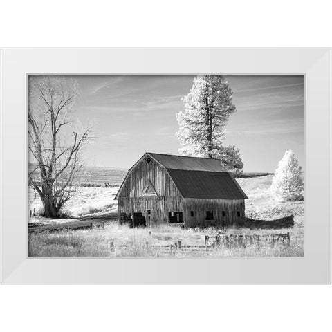Palouse Barn White Modern Wood Framed Art Print by Johnson, George