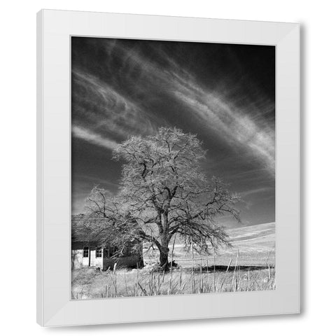 Palouse House and Tree White Modern Wood Framed Art Print by Johnson, George