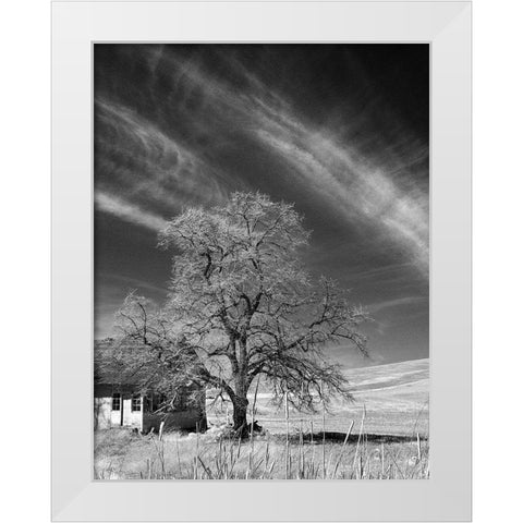 Palouse House and Tree White Modern Wood Framed Art Print by Johnson, George