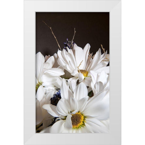 White Daisies White Modern Wood Framed Art Print by Johnson, George