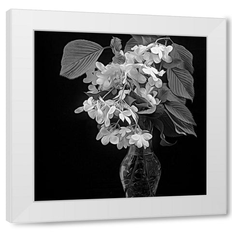White Dogwood White Modern Wood Framed Art Print by Johnson, George