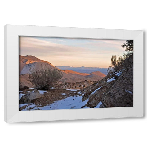 Desert I White Modern Wood Framed Art Print by Kidd, Brian