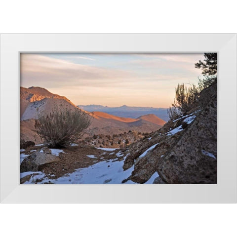Desert I White Modern Wood Framed Art Print by Kidd, Brian