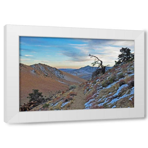 Desert II White Modern Wood Framed Art Print by Kidd, Brian