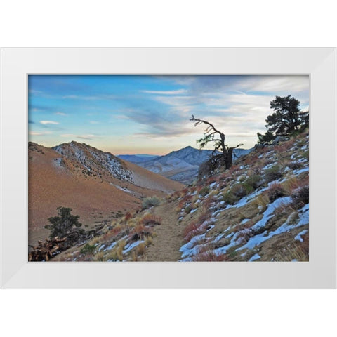Desert II White Modern Wood Framed Art Print by Kidd, Brian