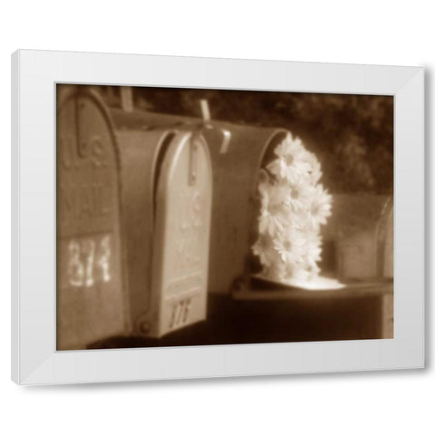 Special Delivery II White Modern Wood Framed Art Print by Larson, Scott