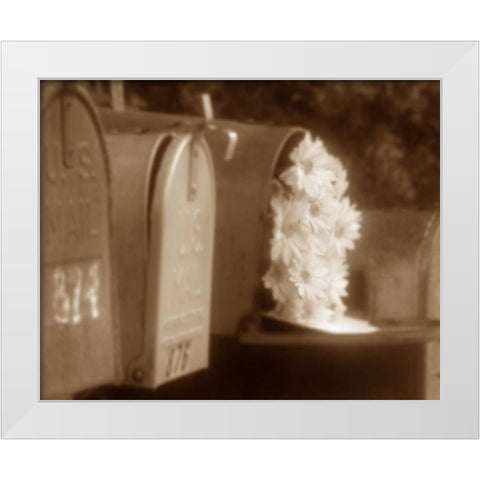Special Delivery II White Modern Wood Framed Art Print by Larson, Scott