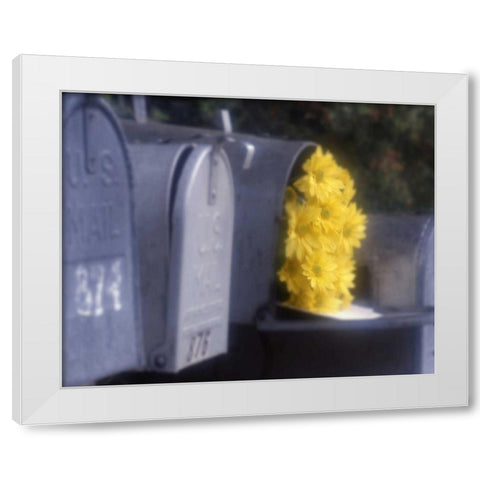 Special Delivery III White Modern Wood Framed Art Print by Larson, Scott