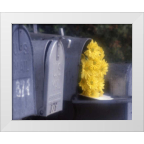 Special Delivery III White Modern Wood Framed Art Print by Larson, Scott