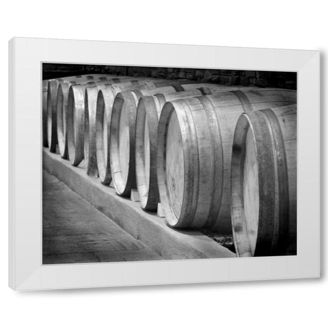 Winery I White Modern Wood Framed Art Print by Larson, Scott