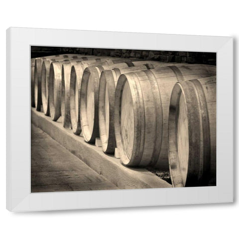Winery II White Modern Wood Framed Art Print by Larson, Scott