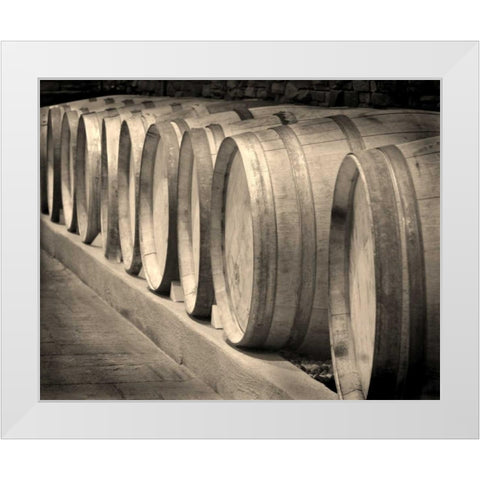 Winery II White Modern Wood Framed Art Print by Larson, Scott