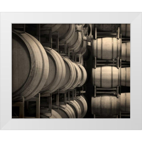 Winery VII White Modern Wood Framed Art Print by Larson, Scott